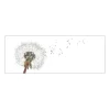 MySpotti Küchenrückwand Profix Cucina Dandelion 160 x 60 cm Weiß-Schwarz< Küchenrückwände