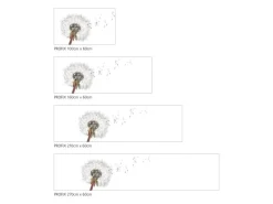 MySpotti Küchenrückwand Profix Cucina Dandelion 160 x 60 cm Weiß-Schwarz< Küchenrückwände