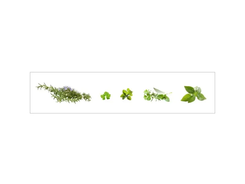 MySpotti Küchenrückwand Profix Cucina Kräuter 270 x 60 cm Minzgrün< Küchenrückwände