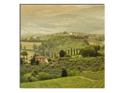 Kücheninseln|Küchenrückwände<MySpotti Küchenrückwand Profix Cucina Romeo 210 x 60 cm Toskana Flair