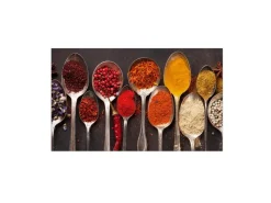 MySpotti Küchenrückwand Profix Cucina Piccante 100 x 60 cm Rot-Braun-Bunt< Küchenrückwände