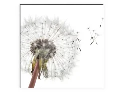 Outlet MySpotti Küchenrückwand Profix Cucina Dandelion 270 x 60 cm Weiß-Grau