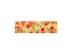 MySpotti Küchenrückwand Profix Cucina Mohnet 210 x 60 cm Mohnblüte< Küchenrückwände|Herde