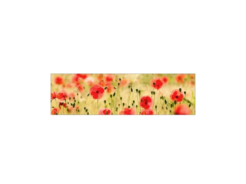 MySpotti Küchenrückwand Profix Cucina Mohnet 210 x 60 cm Mohnblüte< Küchenrückwände|Herde