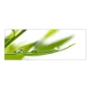 MySpotti Küchenrückwand Profix Cucina Dew Drop 160 x 60 cm Grasgrün< Küchenrückwände