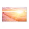 Sale MySpotti Küchenrückwand Profix Cucina Provence 100 x 60 cm Lila Mix