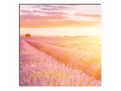 Sale MySpotti Küchenrückwand Profix Cucina Provence 100 x 60 cm Lila Mix