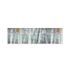 Discount MySpotti Küchenrückwand Profix Cucina Birkenwald 210 x 60 cm Birke-Weiß