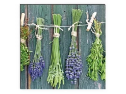 Küchenrückwände<MySpotti Küchenrückwand Profix Cucina Kräuter Provence 270 x 60 cm Grün-Blau