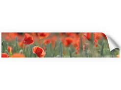 Hot Myspotti Küchenrückwandfolie Mohn Selbstklebend 280 cm x 60 cm