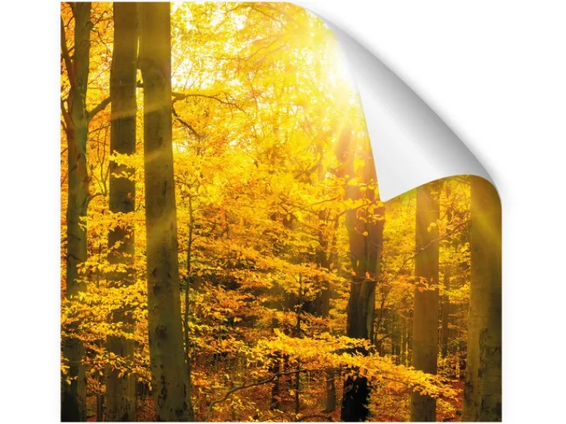 New Myspotti Küchenrückwandfolie Herbstwald Selbstklebend 450 cm x 60 cm