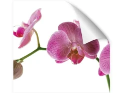 Myspotti Küchenrückwandfolie Orchidee Pink Selbstklebend 450 cm x 60 cm< Küchenrückwände