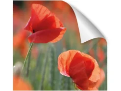 Myspotti Küchenrückwandfolie Mohn Selbstklebend 450 cm x 60 cm< Küchenrückwände