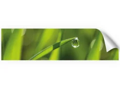 Clearance Myspotti Küchenrückwandfolie Tautropfen Selbstklebend 220 cm x 60 cm