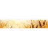 Myspotti Küchenrückwandfolie Korn Selbstklebend 450 cm x 60 cm< Küchenrückwände