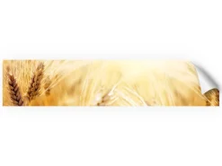 Küchenrückwände<Myspotti Küchenrückwandfolie Korn Selbstklebend 280 cm x 60 cm