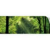 Küchenrückwände<Myspotti Küchenrückwandfolie Sommerwald Selbstklebend 220 cm x 60 cm