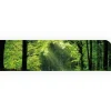 Myspotti Küchenrückwandfolie Sommerwald Selbstklebend 280 cm x 60 cm< Küchenrückwände