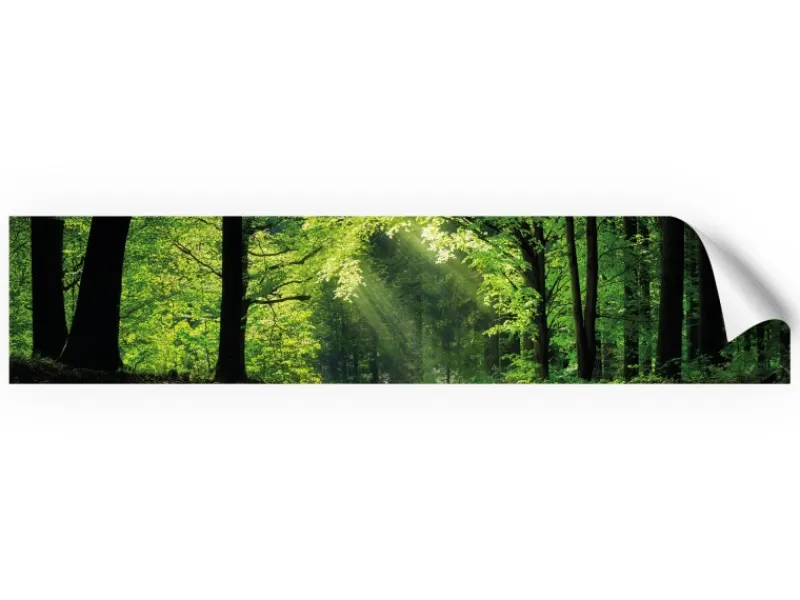 Myspotti Küchenrückwandfolie Sommerwald Selbstklebend 280 cm x 60 cm< Küchenrückwände