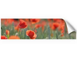 Myspotti Küchenrückwandfolie Mohn Selbstklebend 220 cm x 60 cm< Küchenrückwände