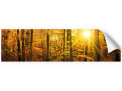 Myspotti Küchenrückwandfolie Herbstwald Selbstklebend 220 cm x 60 cm< Küchenrückwände