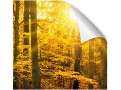 Myspotti Küchenrückwandfolie Herbstwald Selbstklebend 220 cm x 60 cm< Küchenrückwände