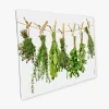 Küchenrückwände<Myspotti Mini-Spritzschutzplatte Kräuterleine 59 cm x 41 cm