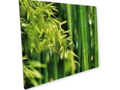Myspotti Mini-Spritzschutzplatte Bambuswald 59 cm x 41 cm< Küchenrückwände