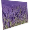 Küchenrückwände<Myspotti Mini-Spritzschutzplatte Lavendel 59 cm x 41 cm