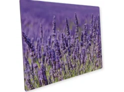 Küchenrückwände<Myspotti Mini-Spritzschutzplatte Lavendel 59 cm x 41 cm