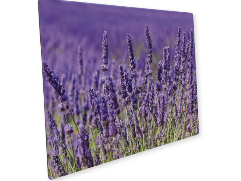 Küchenrückwände<Myspotti Mini-Spritzschutzplatte Lavendel 59 cm x 41 cm