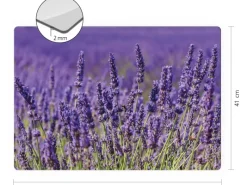 Küchenrückwände<Myspotti Mini-Spritzschutzplatte Lavendel 59 cm x 41 cm
