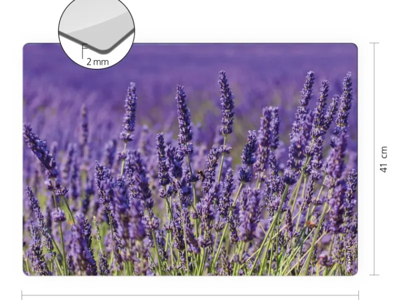 Küchenrückwände<Myspotti Mini-Spritzschutzplatte Lavendel 59 cm x 41 cm