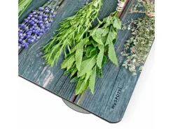Myspotti Mini-Spritzschutzplatte Kräuter der Provence 59 cm x 41 cm< Küchenrückwände|Kochfelder