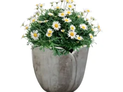 Töpfe<Pflanzgefäß Tulpenform Terrakotta Ø 33 cm Braun