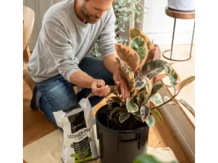 Lechuza Töpfe<Pflanzsubstrat ®-Pon 3 Liter für Zimmerpflanzen