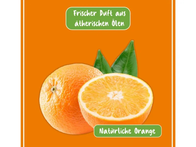 Discount Poliboy BIO Küchen Reiniger 500 ml