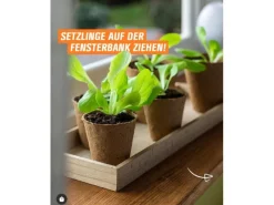 Proflora Töpfe<Kokosfaser Anzucht-Pflanztopf 0,05 l (20 Töpfe)