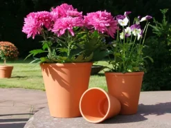 Töpfe<Rosentopf Ø 16 cm Terrakotta