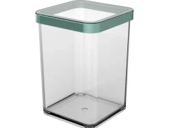 Discount Rotho Dose Loft Premium Quadratisch 1 l Transparent Mistletoe Green