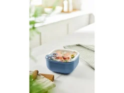 Discount Rotho Frischhaltedose Ela 0,425 l Horizontblau