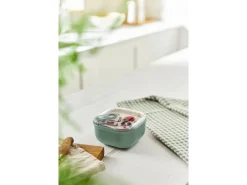 Discount Rotho Frischhaltedose Ela 0,425 l Mistletoe Green