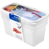 Rotho Vorratsdosen|Vorratsbehälter<Gefrierdosen-Set Domino Gemüse 1,5 l Weiß 3-teilig