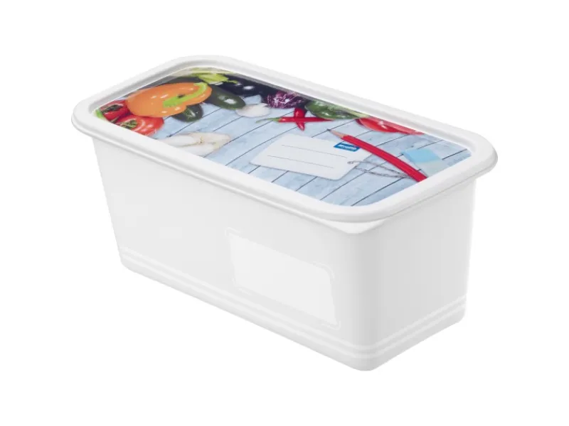 Rotho Vorratsdosen|Vorratsbehälter<Gefrierdosen-Set Domino Gemüse 1,5 l Weiß 3-teilig