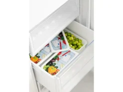 Rotho Vorratsdosen|Vorratsbehälter<Gefrierdosen-Set Domino Gemüse 1,5 l Weiß 3-teilig