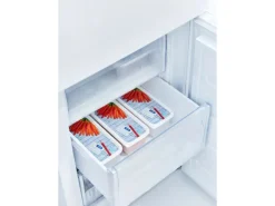 Rotho Vorratsdosen|Vorratsbehälter<Gefrierdosen-Set Domino Karotten 1,2 l Weiß 3-teilig