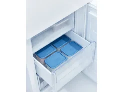 Rotho Vorratsdosen|Vorratsbehälter<Gefrierdose-Set Domino 1 l 4-teilig