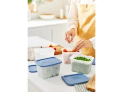 Rotho Vorratsdosen|Vorratsbehälter<Gefrierdose-Set Domino 1 l 4-teilig