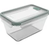 Rotho Kühlschrankdose Nala mit Kunststoffdeckel Glas 2 l Mistletoe Green< Vorratsdosen
