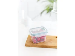 Online Rotho Kühlschrankdose Nala 0,85 l Mistletoe Green